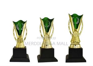 T24-B249ggna,Trophy,Trophy Cups,Trophies - thumbnail 2