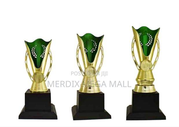 T24-B249ggna,Trophy,Trophy Cups,Trophies - main view