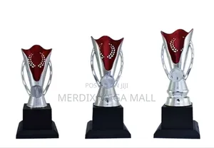 T2t24-B249srda,Trophy,Trophy Cups,Trophies