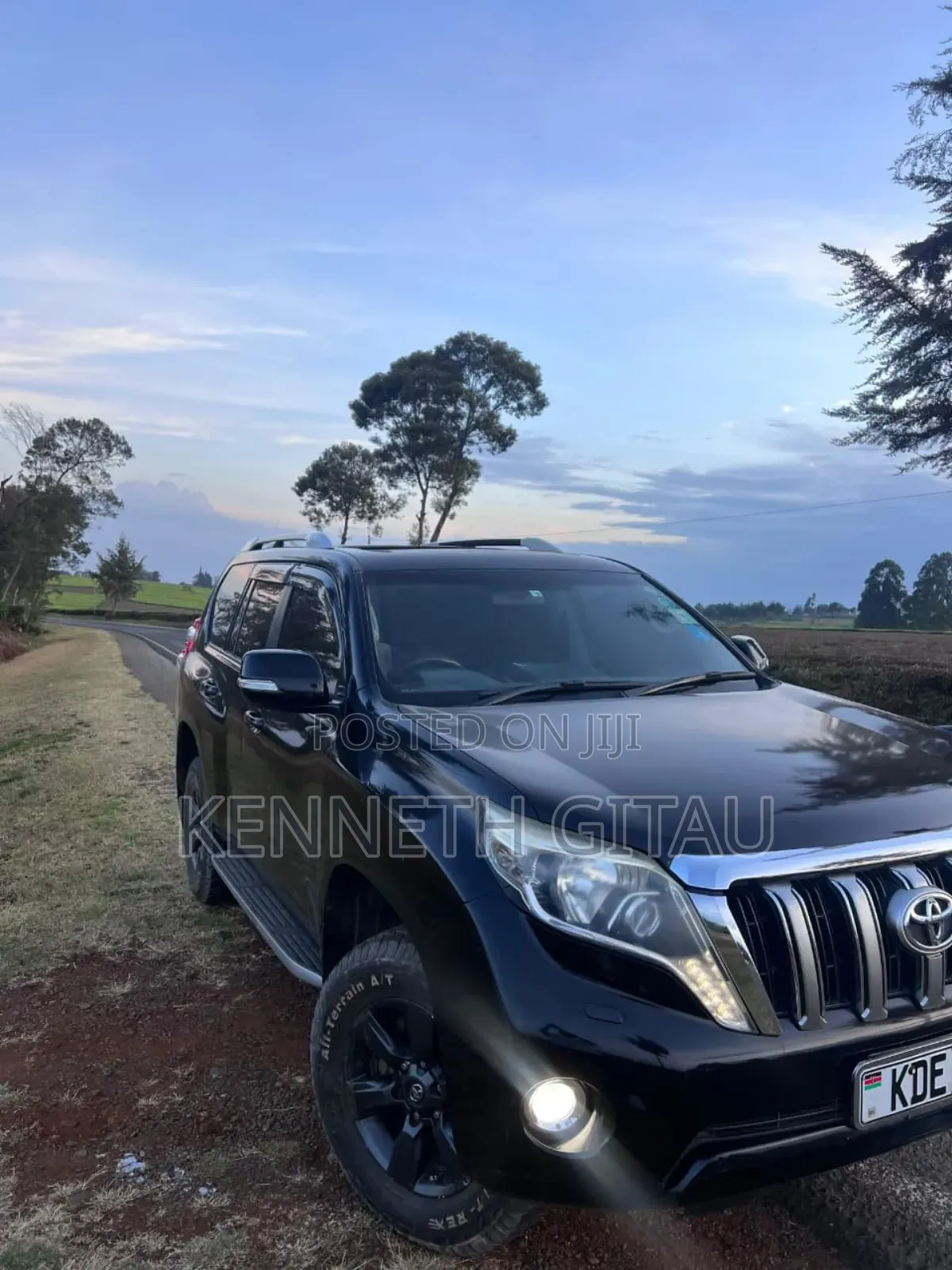 Car Hire Services