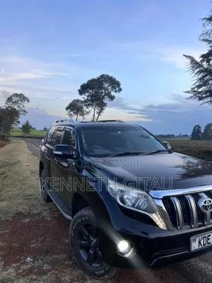 Car Hire Services