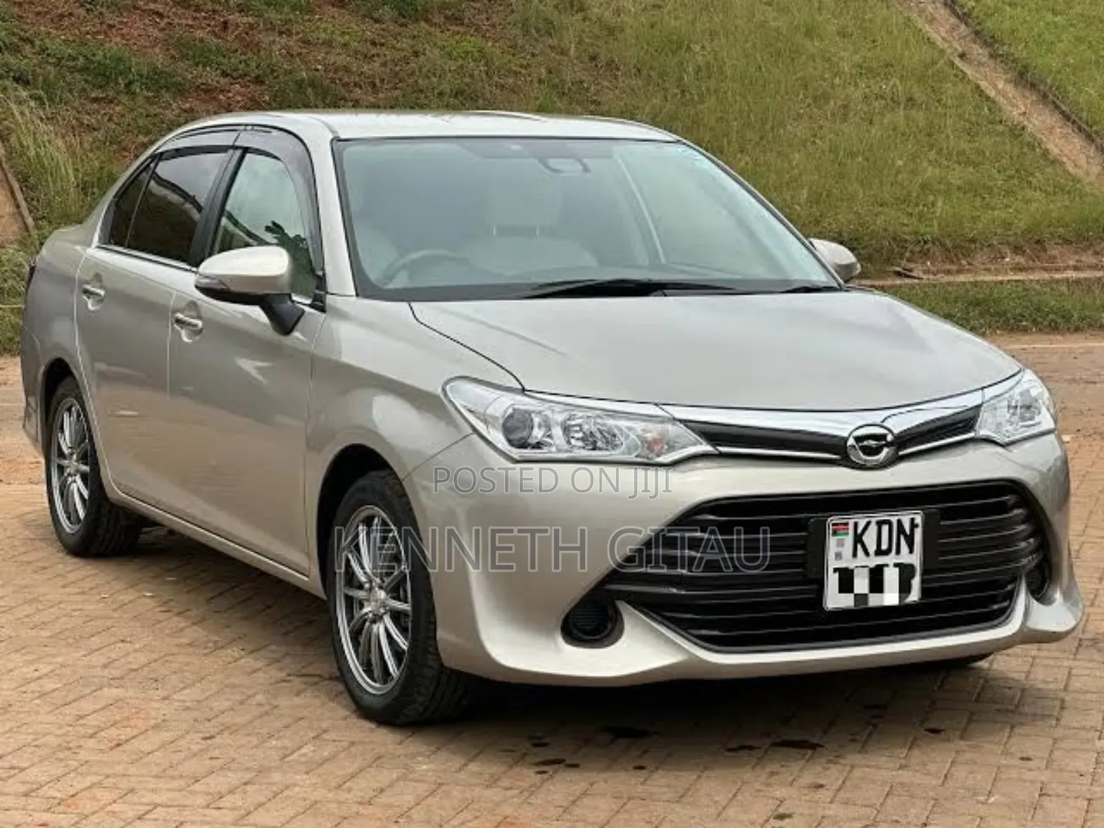 Car Hire Services