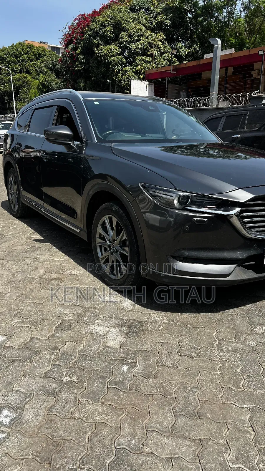 Car Hire Services