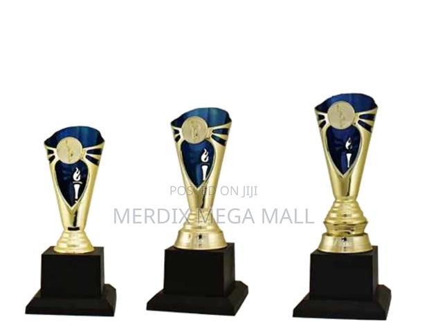 T24-B279gbua,Trophy,Trophy Cups,Trophies - main view