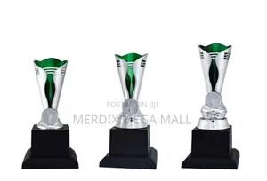 T24-B246sgna,Trophy,Trophy Cups,Trophies