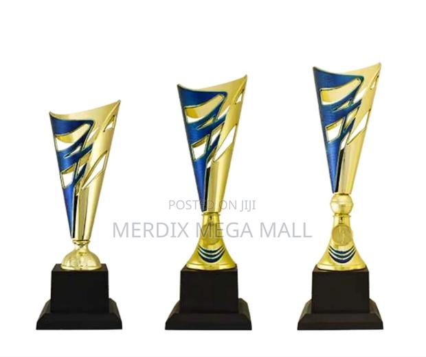 T24-B312gbua,Trophy,Trophy Cups,Trophies - main view