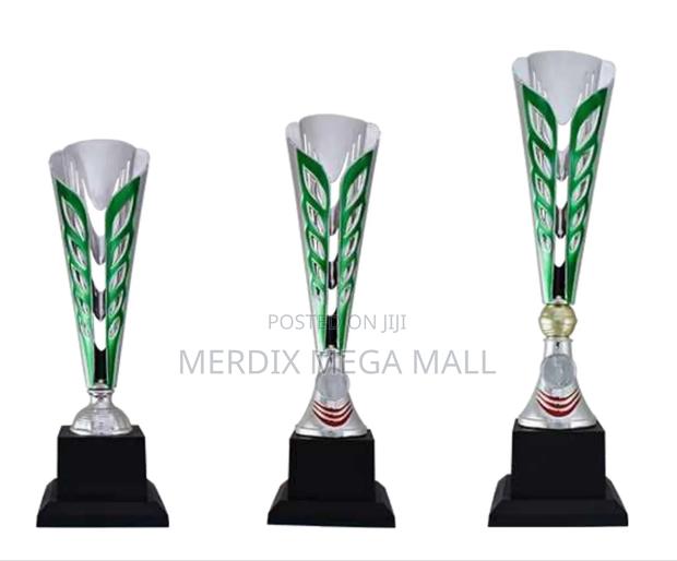 T24-B237sgna,Trophy,Trophy Cups,Trophies - main view