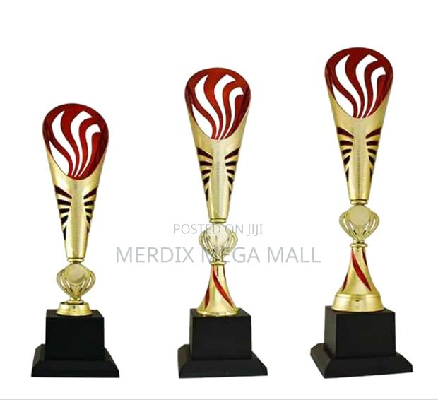 T24-Cpt012a,Trophy,Trophy Cups,Trophies - main view