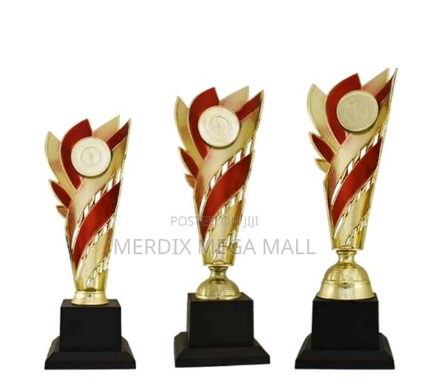 T24-403grda,Trophy,Trophy Cups,Trophies - main view