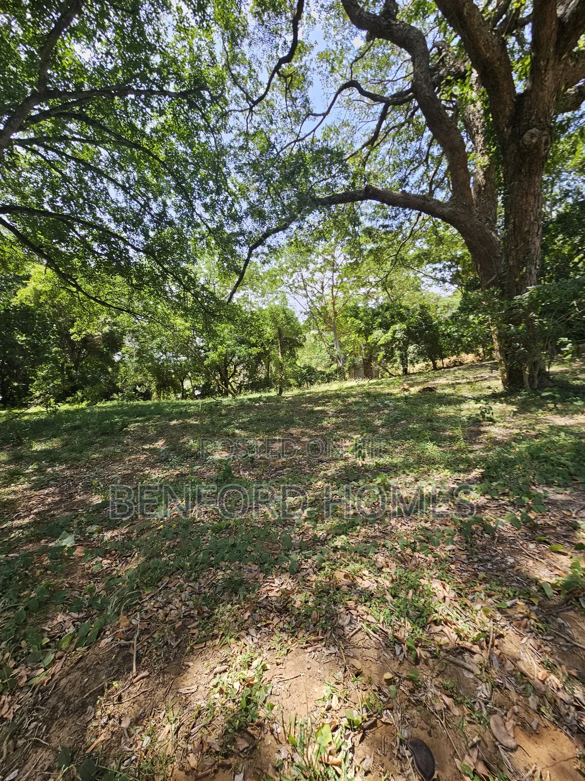 1 Acre Piece of Land on Sale Links Road Nyali by Benford Homes