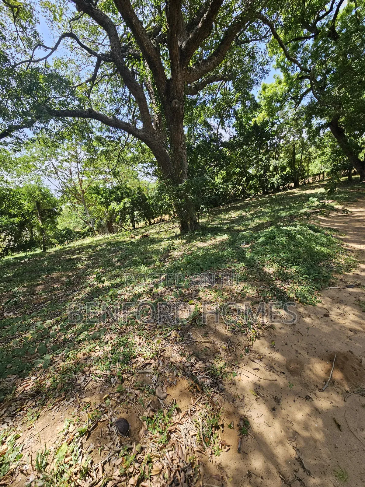 1 Acre Piece of Land on Sale Links Road Nyali by Benford Homes