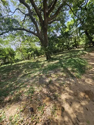 1 Acre Piece of Land on Sale Links Road Nyali by Benford Homes