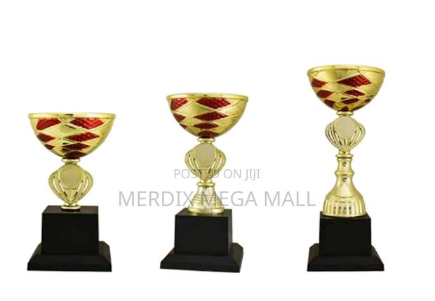 T24-201 0grd/1,Trophy,Trophy Cups,Trophies - main view