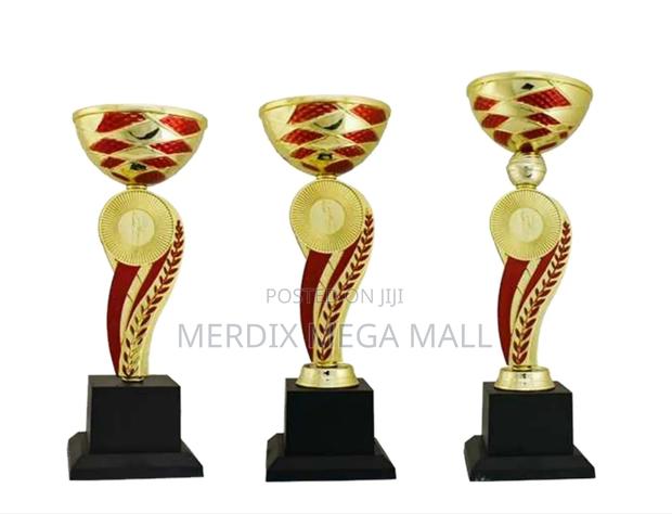 T24-B167grda,Trophy,Trophy Cups,Trophies - main view