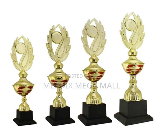 T24-392grda,Trophy,Trophy Cups,Trophies - main view