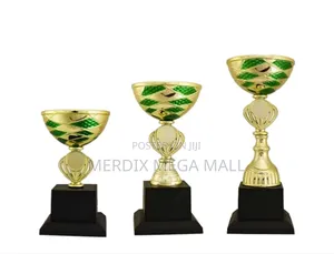 T24-2010ggn/1,Trophy,Trophy Cups,Trophies