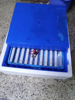 Automatic 64 Egg Incubator