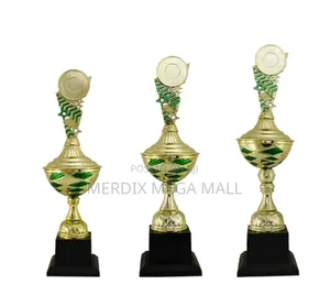 T24-21010ggna,Trophy,Trophy Cups,Trophies