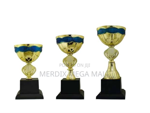 T24-102/1gbu,Trophy,Trophy Cups,Trophies - main view