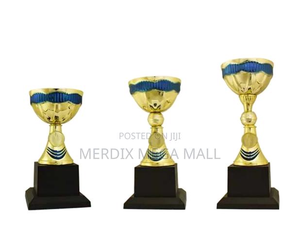 T24-329gbua,Trophy,Trophy Cups,Trophies - main view