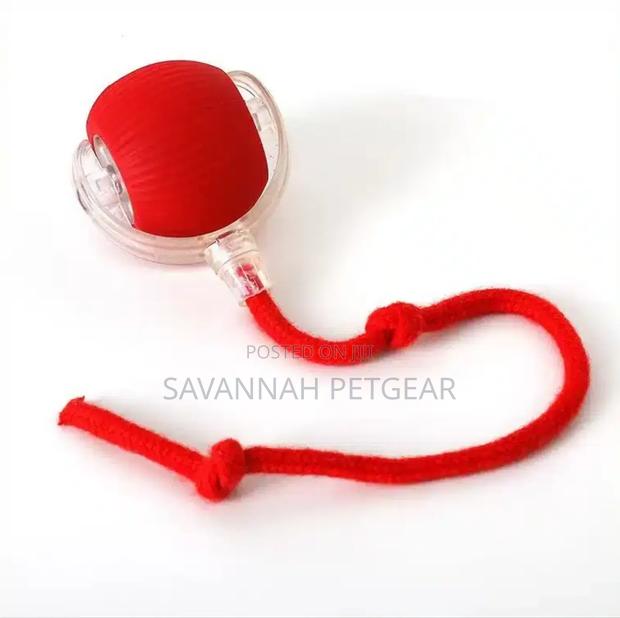 Automatic Dodgeball Rolling Cat Toy, Motion Activated, Smart Wake, Usb