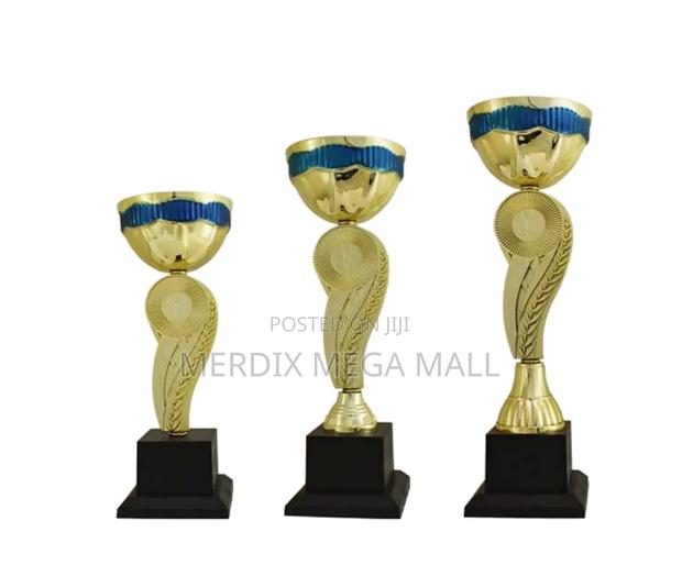 T24-102/A1gbu,Trophy,Trophy Cups,Trophies - main view