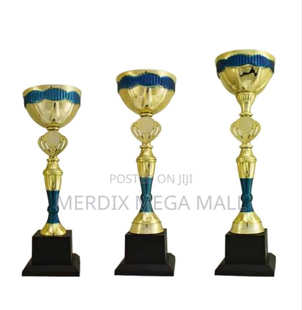 T24-273agbu,Trophy,Trophy Cups,Trophies - main view