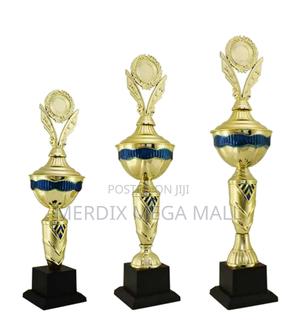 T24-117ngbu,Trophy,Trophy Cups,Trophies - thumbnail 2