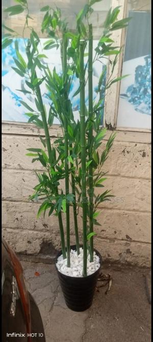 Bamboo Sticks 1.2m With Vase - thumbnail 2