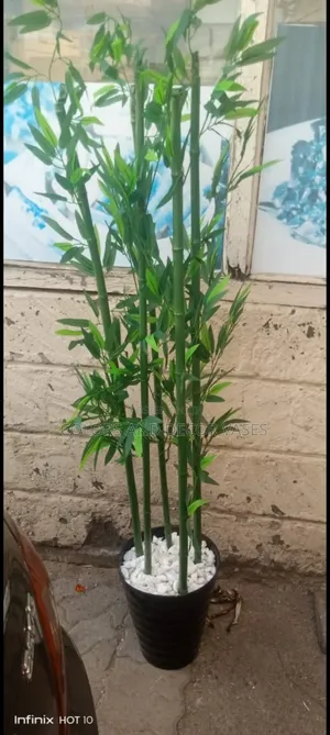 Bamboo Sticks 1.2m With Vase