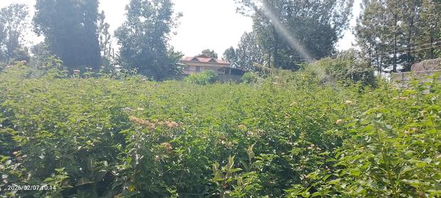 0.75 Of An Acre Plot Thindigua, Kiambu - thumbnail 5