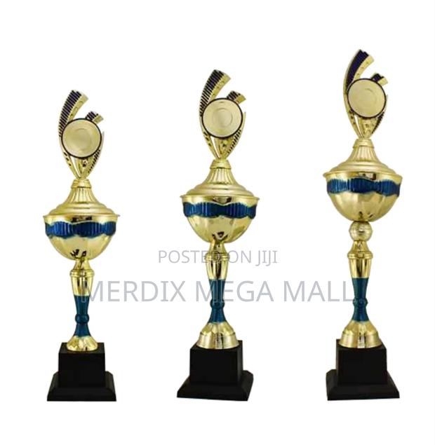 T24-273n1 Gbu,Trophy,Trophy Cups,Trophies