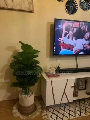 Plant and Basket Plus Mat Happy Client