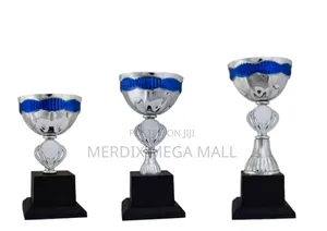 T24-102/1sbu,Trophy,Trophy Cups,Trophies