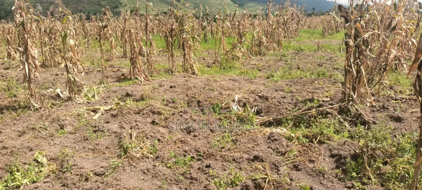 Isinya 72 Acres Ideal for Farming. It's Currently Under Irrigation