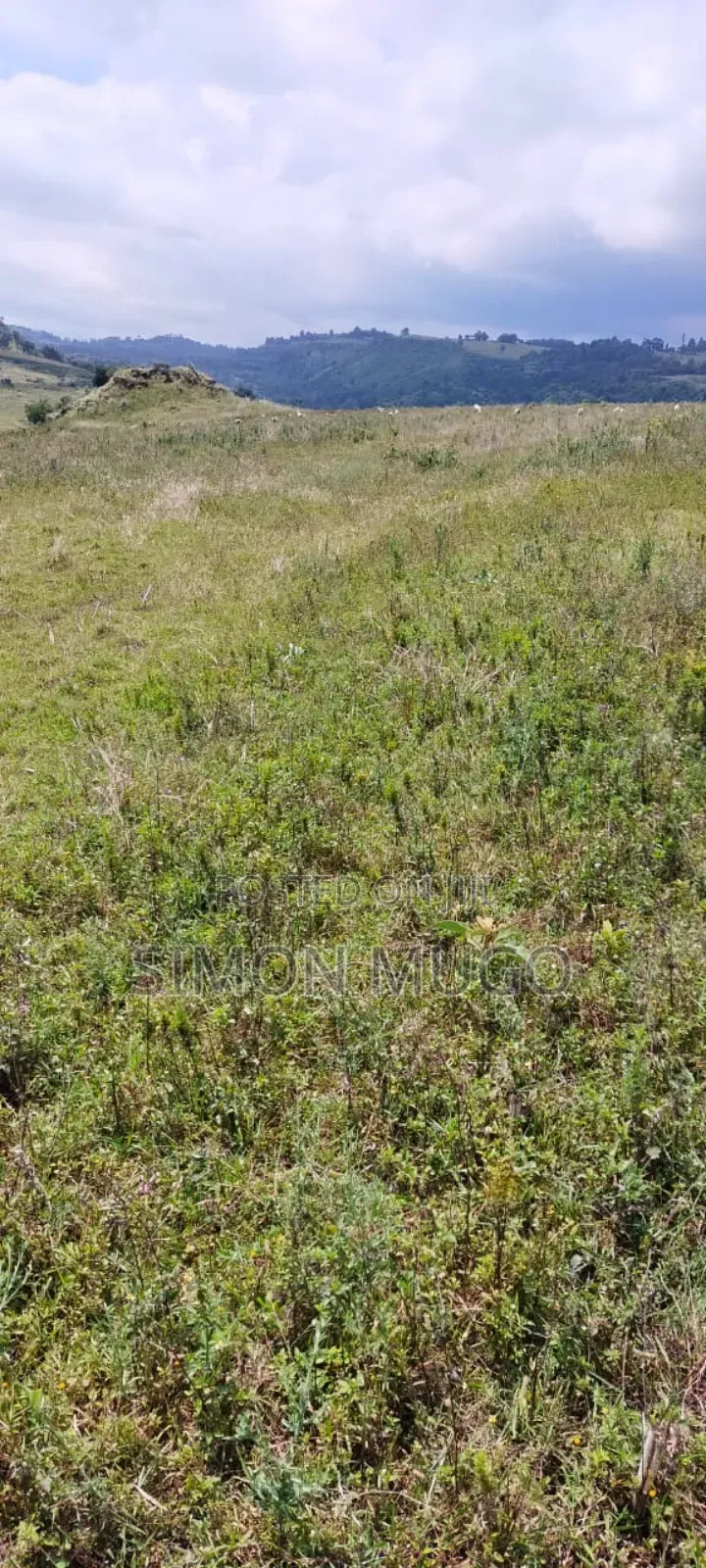 Isinya 72 Acres Ideal for Farming. It's Currently Under Irrigation