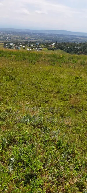 Isinya 72 Acres Ideal for Farming. It's Currently Under Irrigation