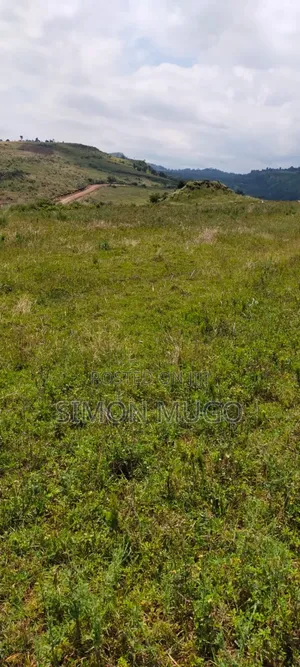 Isinya 72 Acres Ideal for Farming. It's Currently Under Irrigation