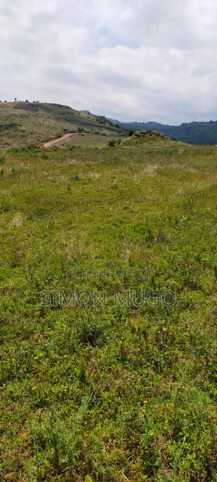 Isinya 72 Acres Ideal for Farming. It's Currently Under Irrigation