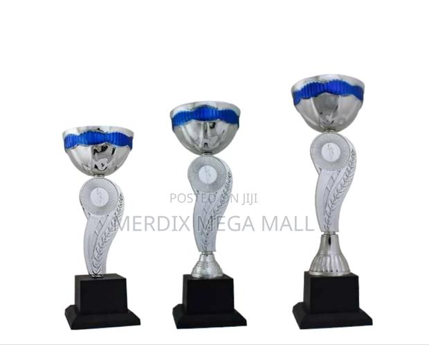 T24-102/A1sbu,Trophy,Trophy Cups,Trophies - main view