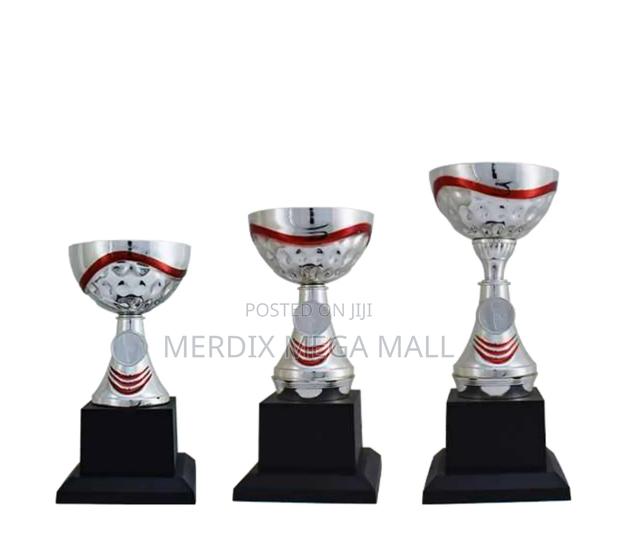 T24-108srda/1,Trophy,Trophy Cups,Trophies - main view