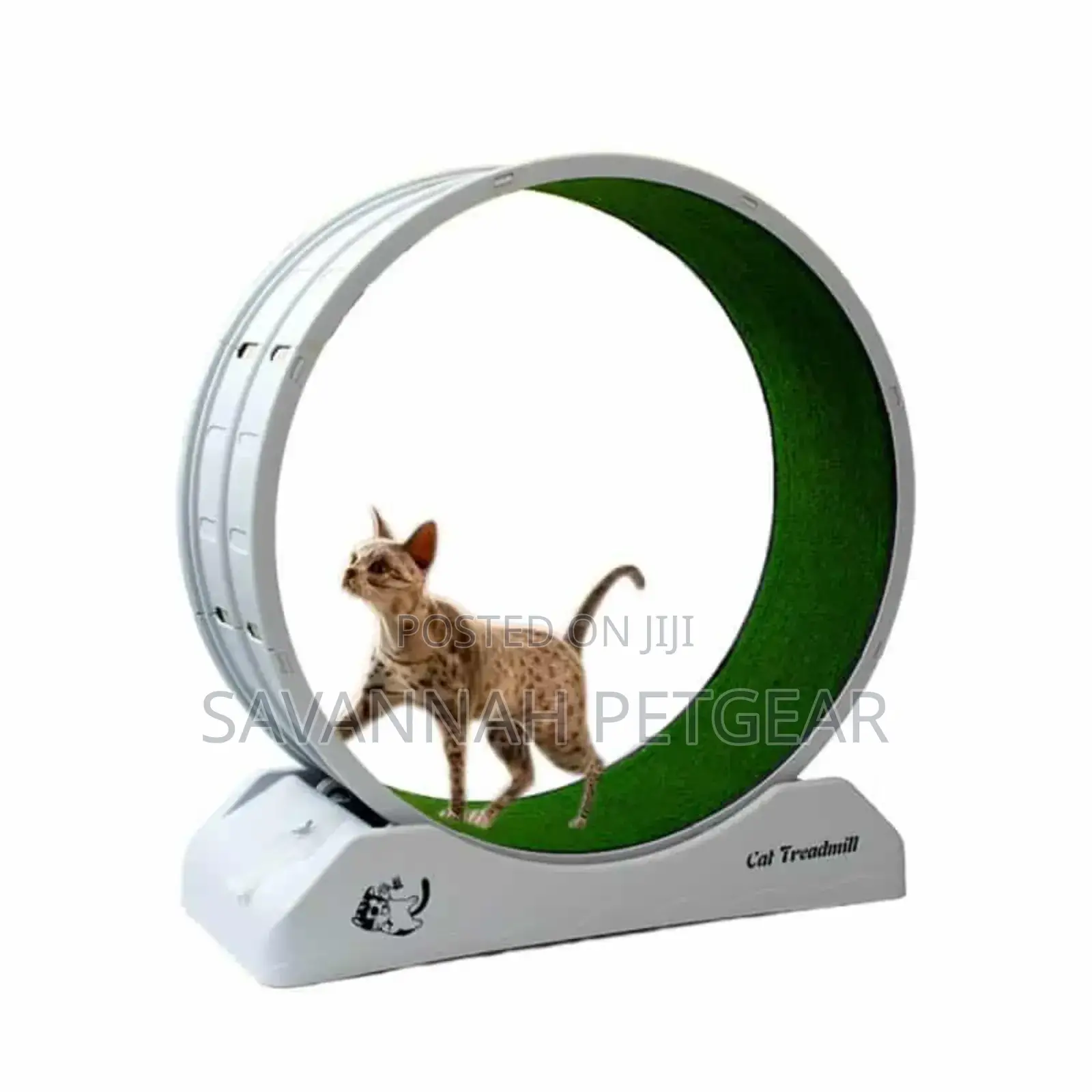 Miao Exercise Running Wheel Cat Treadmill
