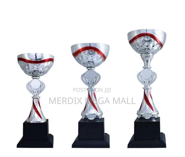 T24-146srda,Trophy,Trophy Cups,Trophies - main view