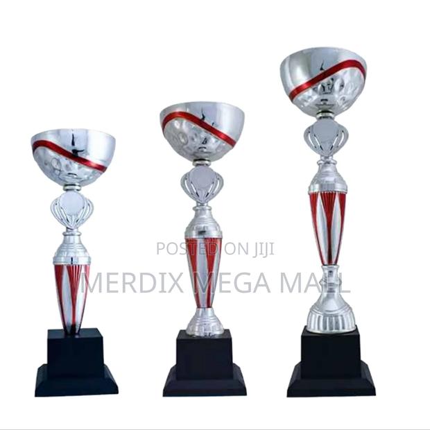 T24-114srda,Trophy,Trophy Cups,Trophies - main view