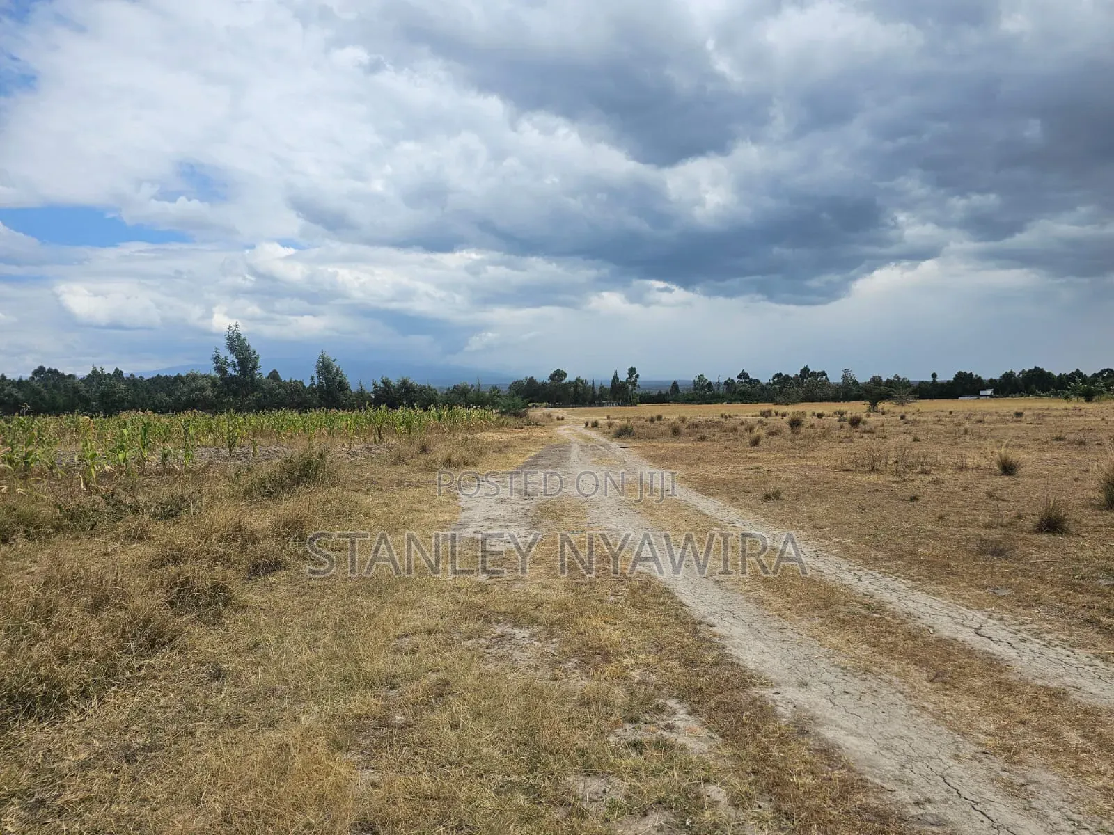 5 Acreas Behind Airstrip
