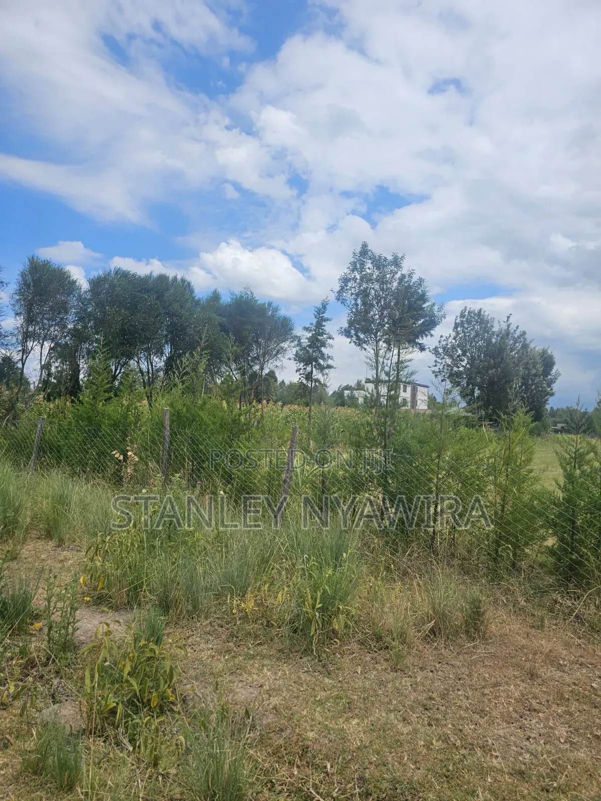 5 Acreas Behind Airstrip