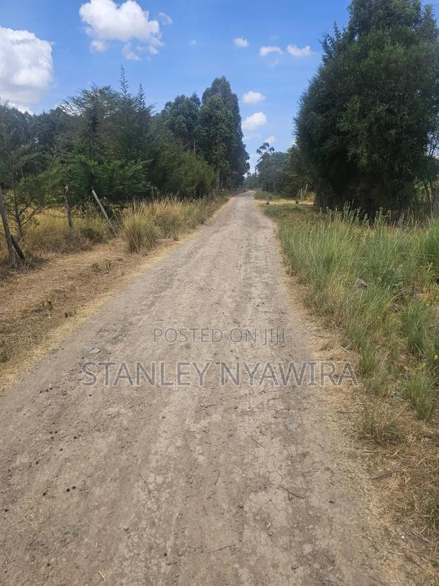 5 Acreas Behind Airstrip - thumbnail 4