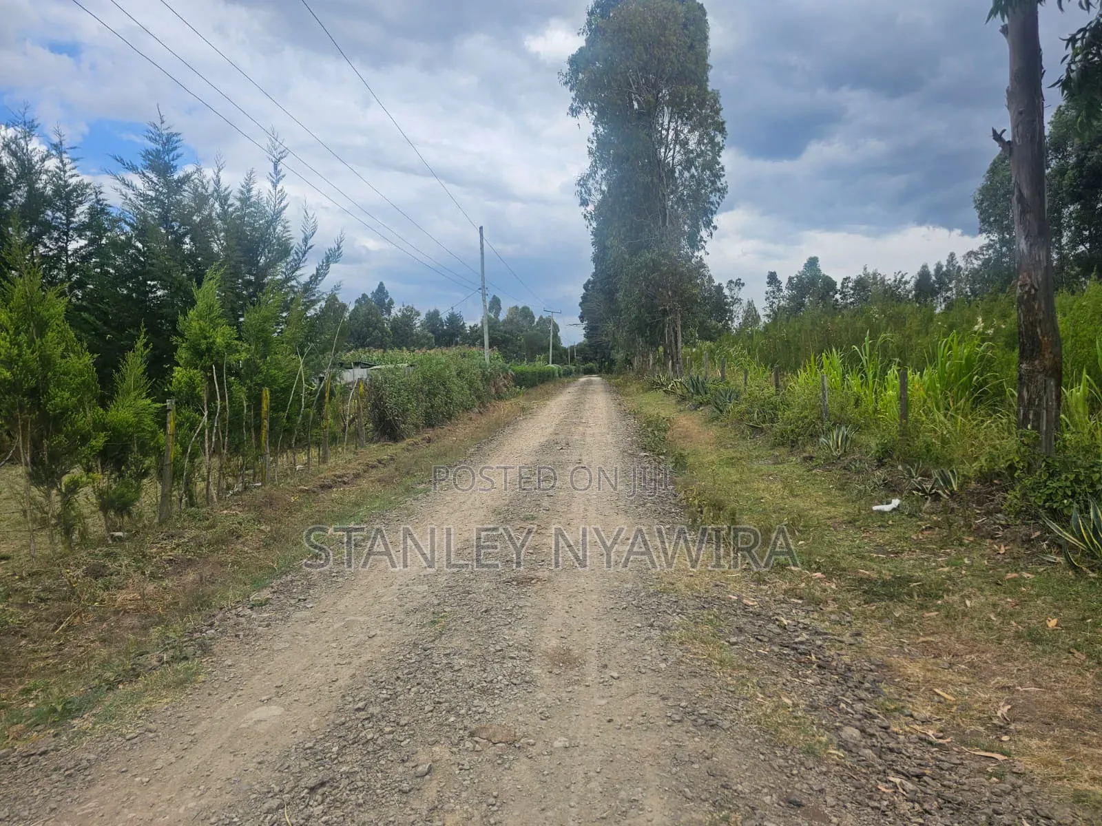 5 Acreas Behind Airstrip