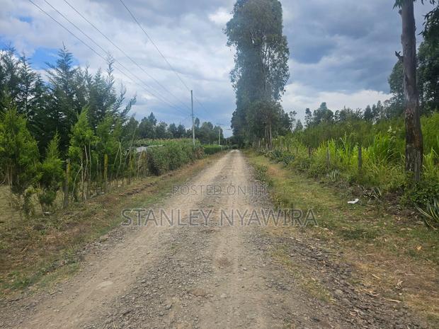 5 Acreas Behind Airstrip - thumbnail 5