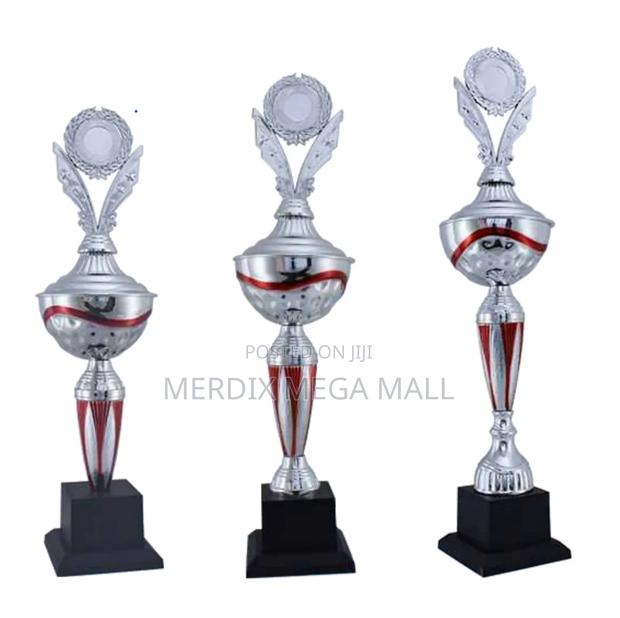 T24-141/1srd,Trophy,Trophy Cups,Trophies